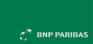 BNP Paribas Leasing Solutions logo