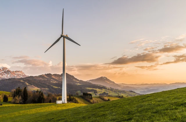 RICOH Carbon Balanced Service